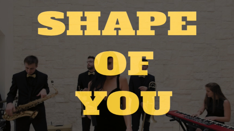 Shape of You (Ed Sheeran)